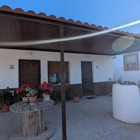 Apartamentos La Palmera Fernan Perez Εξωτερικό φωτογραφία