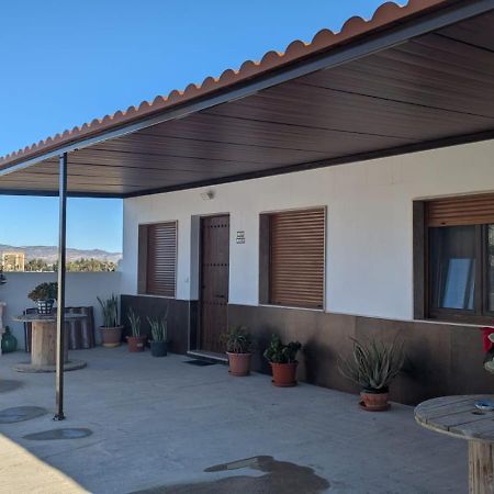 Apartamentos La Palmera Fernan Perez Εξωτερικό φωτογραφία