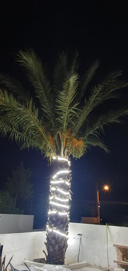 Apartamentos La Palmera Fernan Perez Εξωτερικό φωτογραφία