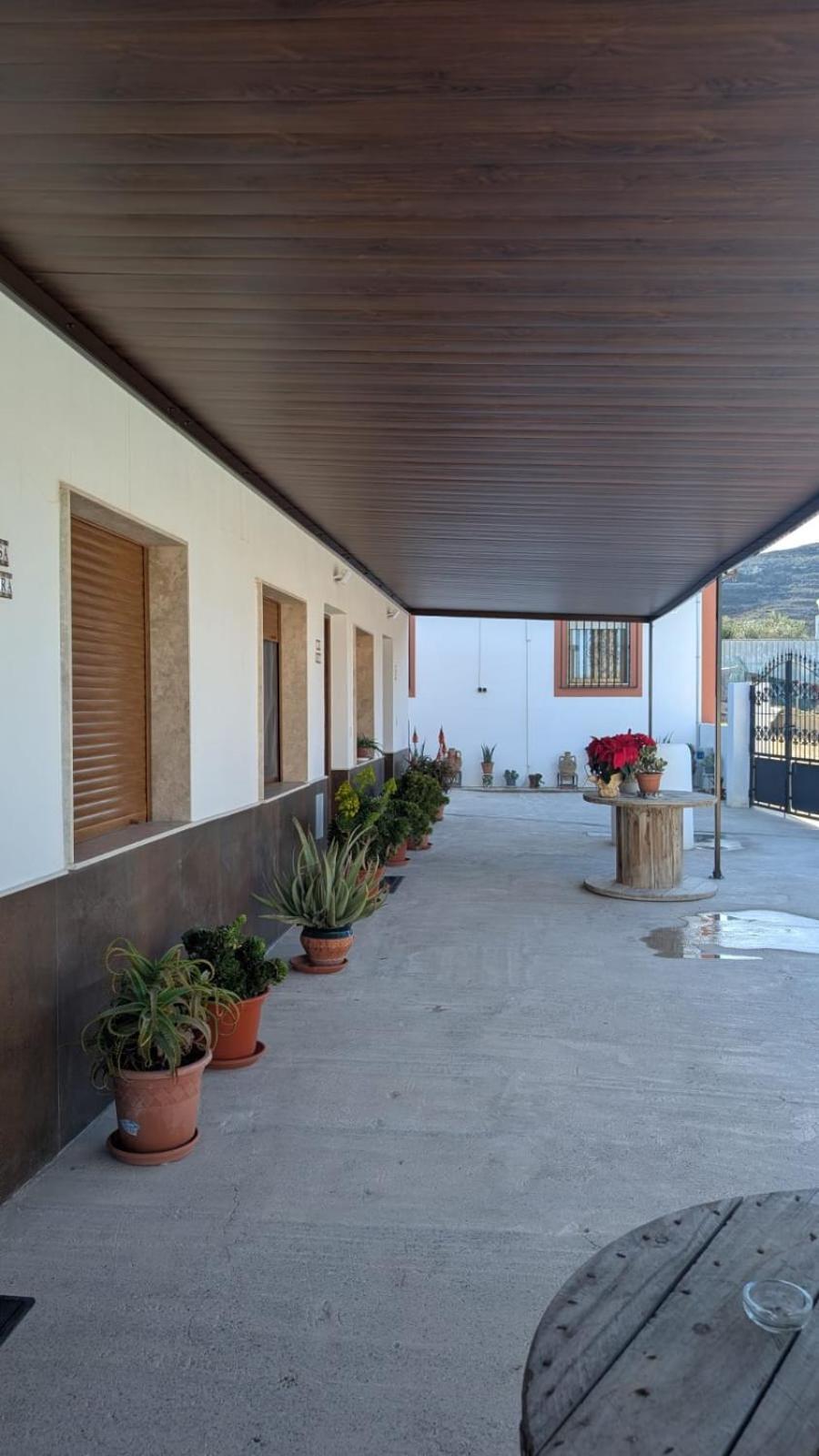 Apartamentos La Palmera Fernan Perez Εξωτερικό φωτογραφία